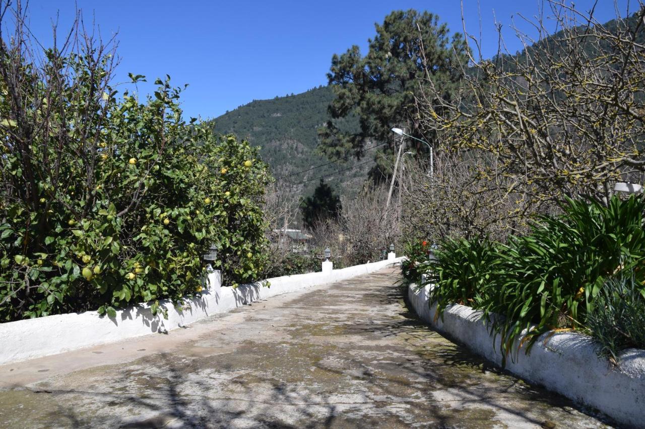 Casa Rural Juli ซานตาครูซ เด เตเนริเฟ ภายนอก รูปภาพ